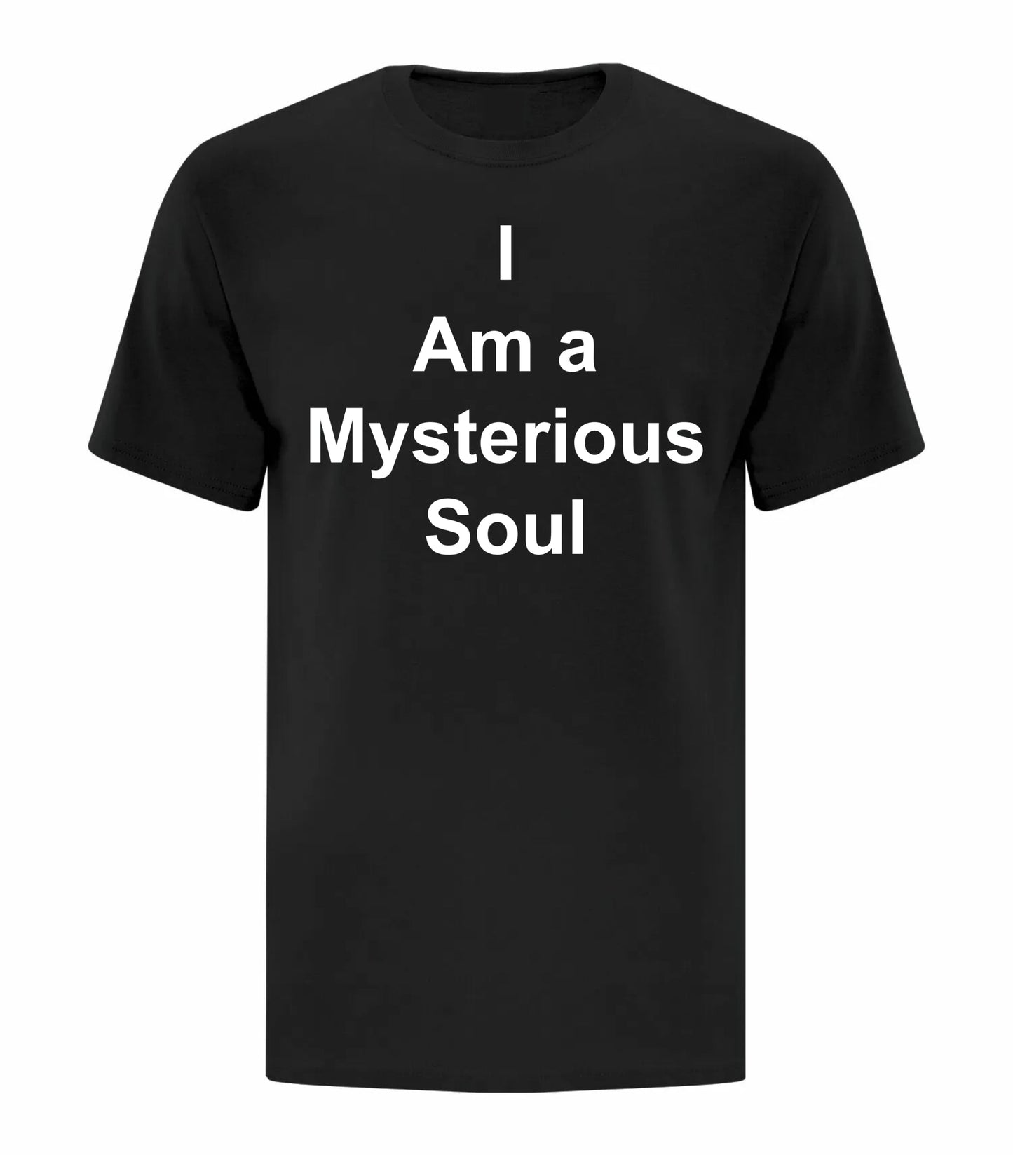 I Am A Mysterious Soul