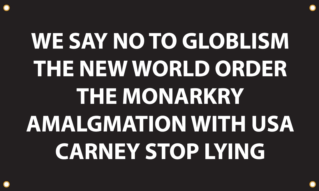 Flag - Carney Stop Lying