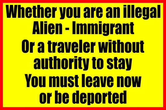 Illegal Alien