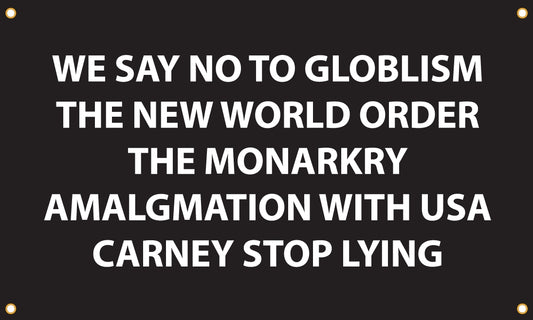 Flag - Carney Stop Lying